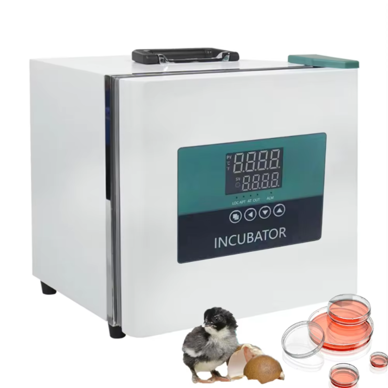 Incubateur portable de laborat - Medical Lab Microbiology avis et prix