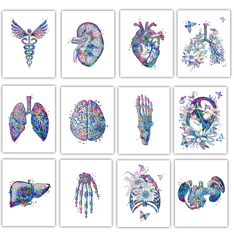 Affiche d'anatomie médicale po - Medical Lab Posters avis et prix