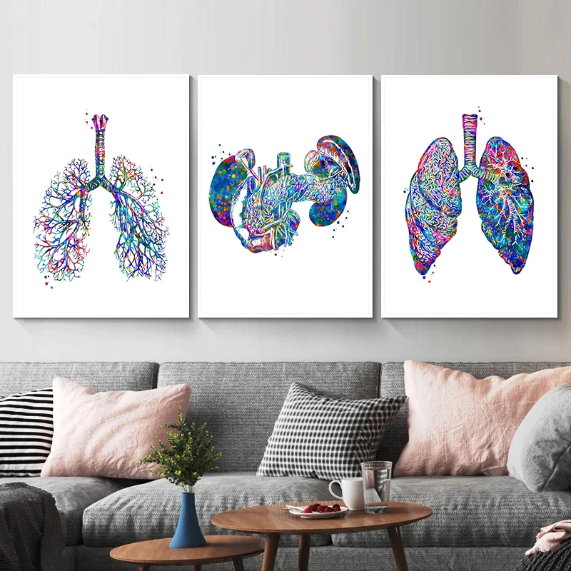Affiche d'anatomie médicale po - Medical Lab Posters avis et prix
