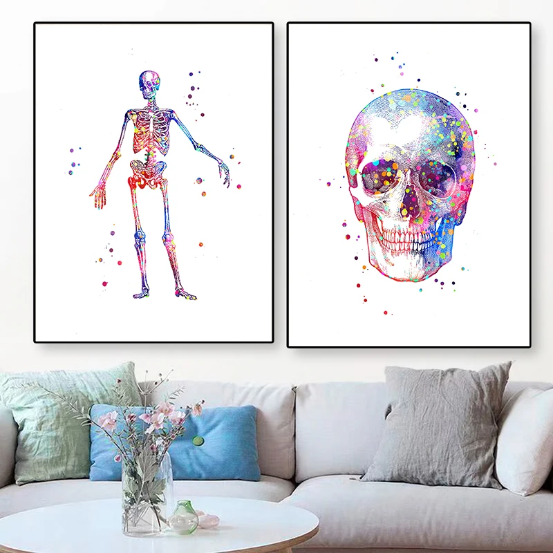 Affiche médicale d'anatomie, m - Medical Lab Posters avis et prix