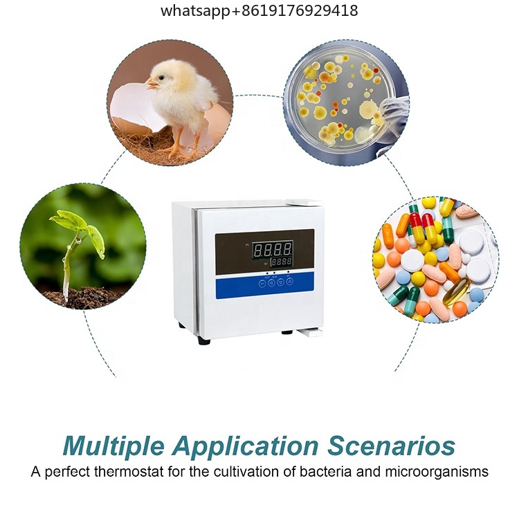 Mini Thermostat de laboratoire - Lab Incubator avis et prix