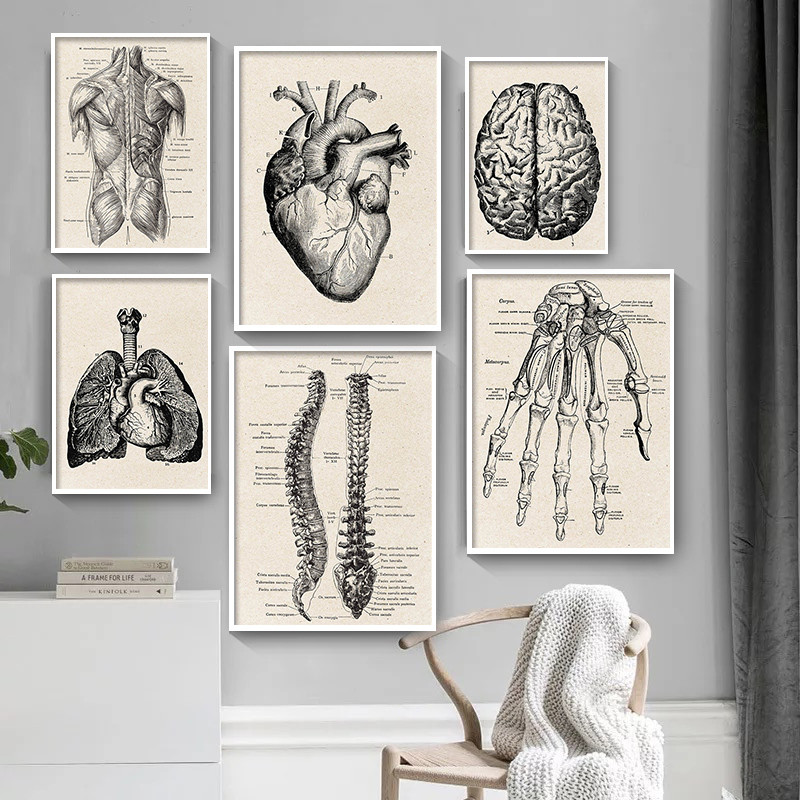 Affiche d'art de toile d'oeuvr - Medical Lab Posters avis et prix