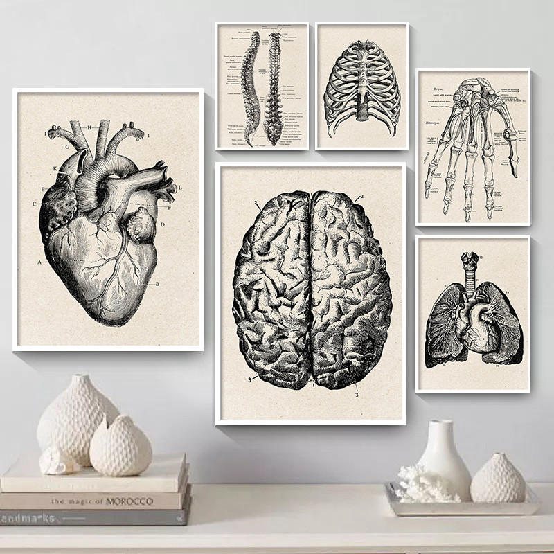 Affiche d'art de toile d'oeuvr - Medical Lab Posters avis et prix