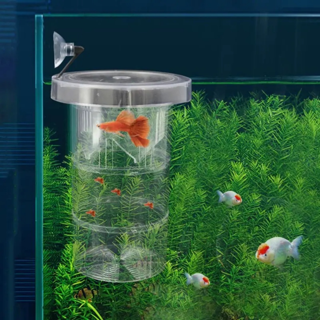 Boîte d'isolation flottante en - Lab Incubator avis et prix